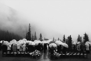 Ceremony: catch, ceremony, chair, cloud, fog, pine