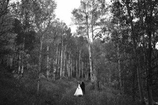 The Couple: bride, groom, couple, dress, forest, kiss