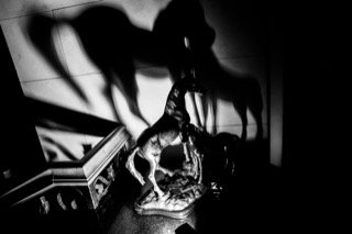 Details and Moments: animal, balustrade, pillar, figurine, floor, rail