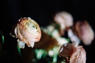 Details and Moments: bouquet, fill, floral arrangement, flower, glass vase, pink
