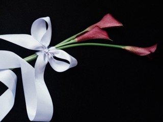 Details and Moments: bow, cloth, flower, lily, petal, ribbon