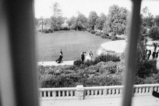 Details and Moments: balcony, balustrade, garden, park, rail, walk